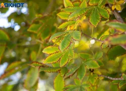 Тяжелую работу лучше отложить: приметы на 23 ноября