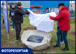 В память о погибших на СВО в Волжском открыли памятную аллею в День народного единства