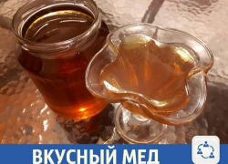 Натуральный мед из Урюпинска предложили волжанам