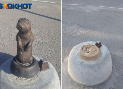 В Волжском вернули пропавшего суслика к водонапорной башне на Карла Маркса