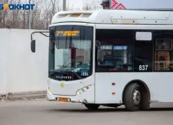 Волжская прокуратура проверит доступность и обоснованность стоимости проезда транспорта