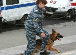 В Волжской исправительной колонии №12 взрывчатку не нашли