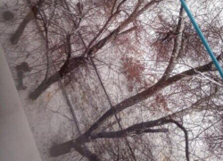 В Волжском из окна выпал мужчина