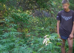 Юный камышанин помогал наркодилеру из Волжского выращивать коноплю