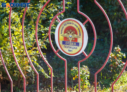 В колонию за 7 банок энергетика: в Волжском задержали магазинного вора 