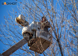 В Волжском развесят мемориальные доски и дадут имя скверу