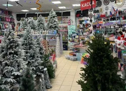 Каждому покупателю подарок: не пропустите новогодние акции в «Фаворите»