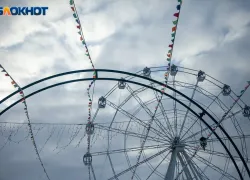 Плюсовая температура и легкий морозец: какой будет погода в Волжском 8 января