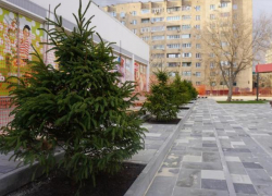 Волжан пригласили на «Праздник добрых дел» до выборов