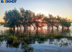 В Волгоградской области начали обработку водоемов от личинок комара