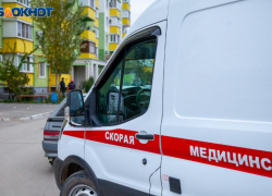 15-летнего подростка спасли после укуса Каракурта волгоградские медики