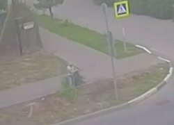 В Волжском заставили нарушителя, выбросившего ветки, убрать за собой