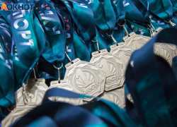Волжане завоевали 15 медалей на кубке мира по тхэквондо 