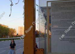 «Почему пора прекратить ездить на автобусах?»: волжские остановки обклеены листовками против взлетевших цен на проезд