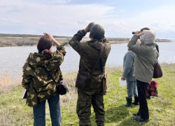 Жителей региона зовут стать волонтерами-орнитологами