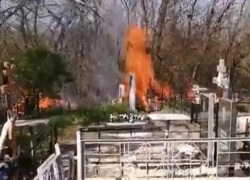 Горит кладбище в Волгограде: на месте работают пожарные