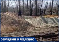 В Волга-Ахтубинской пойме начали строить частный дом прямо на берегу реки: видео