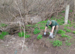 Житель Волжского должен выплатить более 1,38 млн рублей за загрязнение почвы