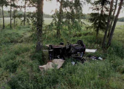Житель региона погиб в  ДТП с деревом