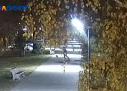 Мусорные дуэлянты извинились на камеру за разгромленный сквер в Волжском