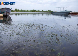 Под Волжским стартует масштабный проект восстановления водной артерии