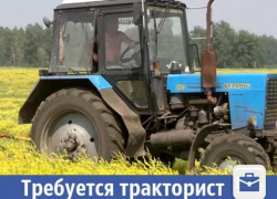В Волжском ищут профессионального тракториста