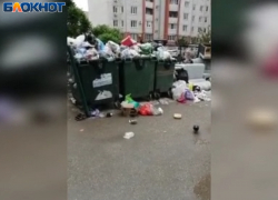 Дефицит контейнеров: в Волжском не успевают вывозить мусор