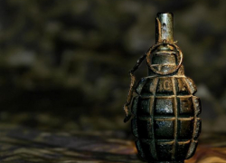 Под Волгоградом селянин хранил боевую гранату Ф-1