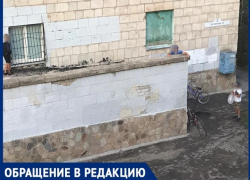 "Мальчишка радостно размахивает "воздушным шариком",- волжанка