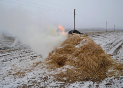 Под Волжским сгорело 700 кг сена 