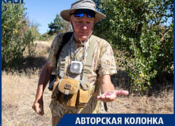 «Не трогайте их»: Феликс Ротавнин рассказал о кактусах в пойме