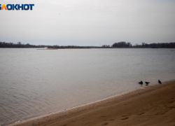 Холодный апрель в Волгоградской области может войти в историю наблюдений