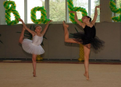 Первенство по художественной гимнастике в Волжском прошло онлайн