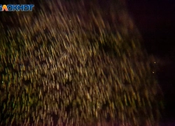 День потребует внимательности: гороскоп на 20 декабря