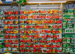 Весна пришла пора на дачу! Все для  успешного огородного сезона в  магазине «Дачный рай»