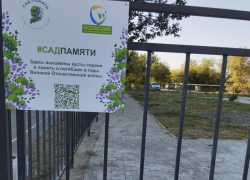 Чиновники Волжского опровергли открытие сада-мемориала героям ВОВ у «Русинки» после того, как он засох