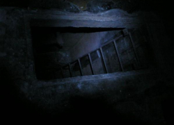 Камышанин три месяца прятал труп убитого друга в подвале