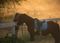 Проведи время в гармонии с природой: волжский конный клуб «GREEN HORSE» ждет гостей