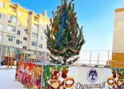ЖК «Династия» поздравляет волжан с Новым годом и Рождеством!