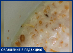 Разбавленное водой пюре и каша с насекомыми: как кормят в детской больнице Волжского