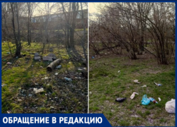 «Уверена, что так утопает весь город»: волжанка показала «кладбище мусора» в лесополосе у гаражей