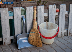 Массовый субботник в Волжском: почему тебе стоит пойти 