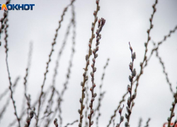 Дождь не прекратится в Волжском в среду