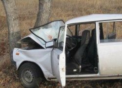 Под Волгоградом "семерка" врезалась в дерево: погибли мать и сын