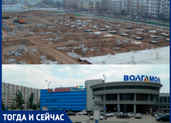 На месте развлекательного комплекса в Волжском показывали зверей в клетках