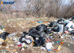 Более полугода не вывозился мусор в Волжском: суд не встал на сторону «ЭкоЦентра»