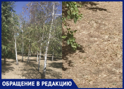 «Удручающее впечатление производит вид засыхающих деревьев», - волжанка
