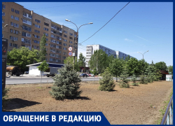 «Радует, что мэр Игорь Воронин занимается городом», - волжанка