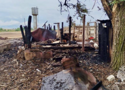 Два теленка погибли в огне из-за неисправной лампочки в волгоградской станице 
