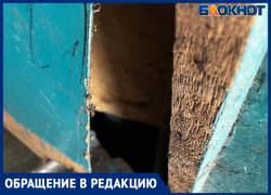 В Волжском комары заполонили подъезд, а местное УК никак не реагирует